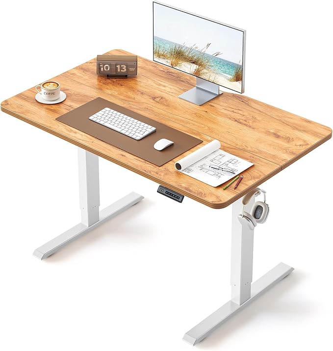 BANTI 40 × 24 Inches Standing Desk, Ergonomic, Electric Height Adjustable, Sit and Stand Up, Computer Office Desk with Splice Board, White Frame/Light Rustic Top