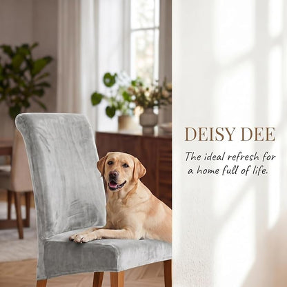 Deisy Dee Stretch XL/Oversized Extra Large Velvet Dining Room Chair Covers for Kitchen Dining，Removable Washable Chair Protectors Slipcovers (Sliver, 2)