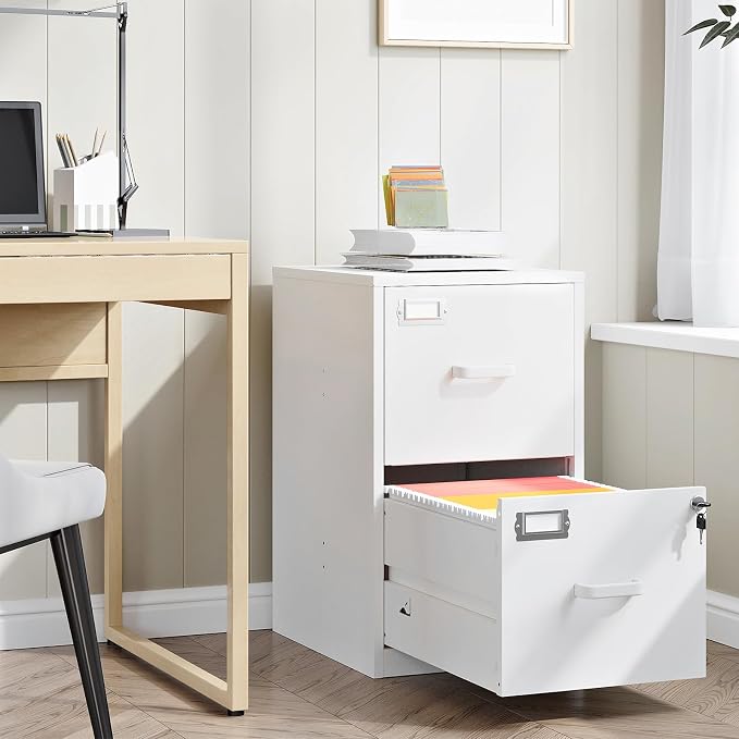 RAVIGIN 2 Drawer File Cabinet with Lock,Metal File Cabinets for Home Office, Under Desk File Cabinet for A4/Letter/Legal Size (White)