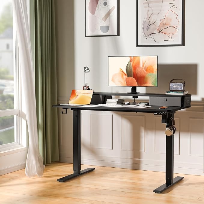 Electric Standing Desk with Two Drawers,48 x 24 Inch Sit Stand Desk Adjustable Height, Stand Up Desk with Storage Shelf, Computer Workstation for Home Office, Black