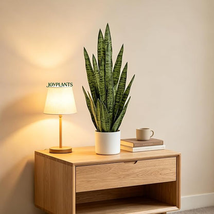 Fake Snake Plant 3FT, 35" Artificial Potted Plant with White Pot, Realistic Faux Floor Plant for Home Decor, Low Maintenance No Watering Needed for Desk Corner Office & Pet Areas (Green)