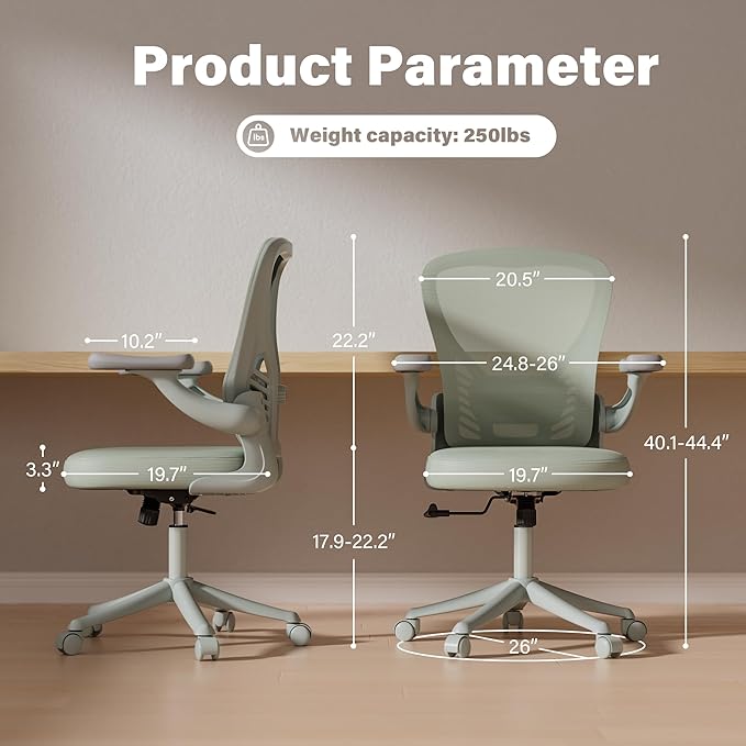 GYI Ergonomic Mesh Office Desk Chair, Grey | 3D Flip-up Arms, Adjustable Lumbar Support, Adjustable Height, Study Room, Bedroom, Conference Room