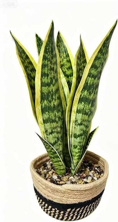 15" Artificial Snake Plant in Black Woven Planter Realistic Faux Sansevieria with Lush Green Leaves Modern Fake Potted Decor for Home Office Living Room and Bedroom