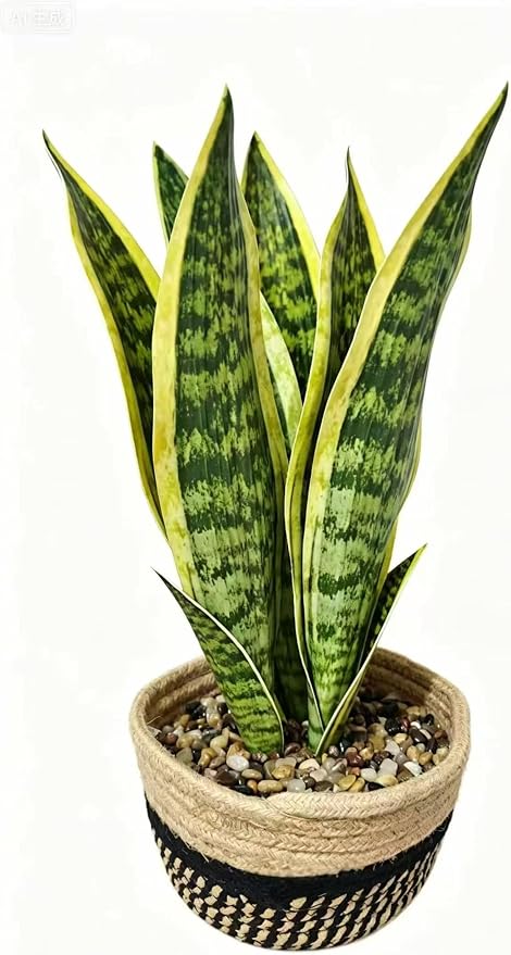 15" Artificial Snake Plant in Black Woven Planter Realistic Faux Sansevieria with Lush Green Leaves Modern Fake Potted Decor for Home Office Living Room and Bedroom