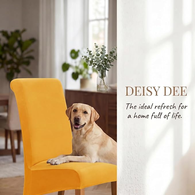 Deisy Dee Stretch XL/Oversized Extra Large Velvet Dining Room Chair Covers for Kitchen Dining，Removable Washable Chair Protectors Slipcovers (Golden Yellow, 4)