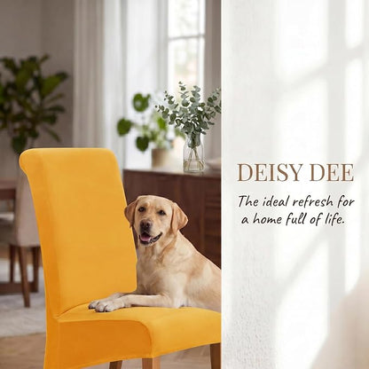 Deisy Dee Stretch XL/Oversized Extra Large Velvet Dining Room Chair Covers for Kitchen Dining，Removable Washable Chair Protectors Slipcovers (Golden Yellow, 2)