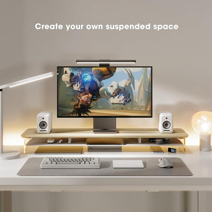 Fenge Acrylic Monitor Stand, 42.5 Inch Clear Dual Monitor Riser with Metal Storage, 2 Tier Computer Riser with LED Lights for Desk, Laptop, Printer, TV