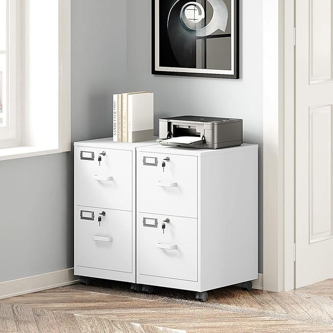 BYNSOE 2 Drawers File Cabinet with Lock Metal Vertical File Cabient with Wheels Mobile File Cabinet for Office Home Legal/Letter/a4 Size Require Assembly (White, 2 Drawers)