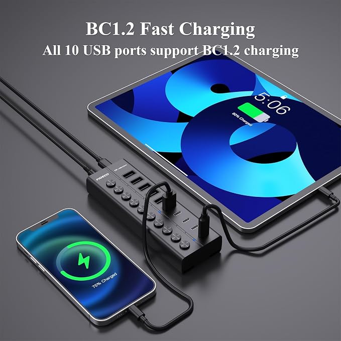 FIDECO 60W Powered USB Hub for Laptop and PC, 10-Port 10Gbps USB Splitter with 12V 5A Power Adapter, Aluminum USB 3.2 Gen 2 Multiport Adapter, 6 USB-A and 4 USB-C Ports, Support BC1.2 Charging (Black)