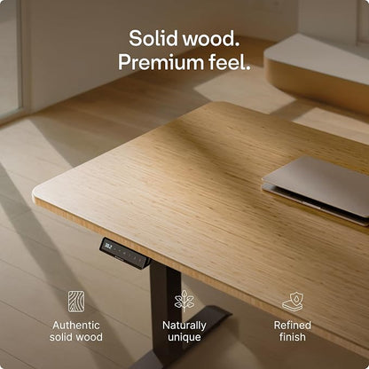 Desktronic HomeOne Standing Desk 48x24 — Ergonomic Sit Stand Home Office Desk, Made in Europe, Electric Dual Motor Height Adjustable, USB & USB-C Charging, Wobble-Free, Touchscreen, 3 Memory Presets