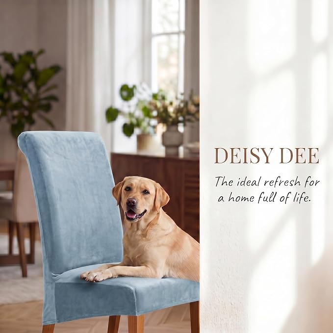 Deisy Dee Stretch XL/Oversized Extra Large Velvet Dining Room Chair Covers for Kitchen Dining，Removable Washable Chair Protectors Slipcovers (Babyblue, 2)