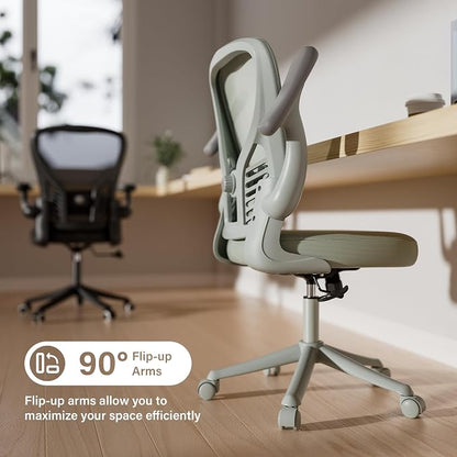 GYI Ergonomic Mesh Office Desk Chair, Grey | 3D Flip-up Arms, Adjustable Lumbar Support, Adjustable Height, Study Room, Bedroom, Conference Room