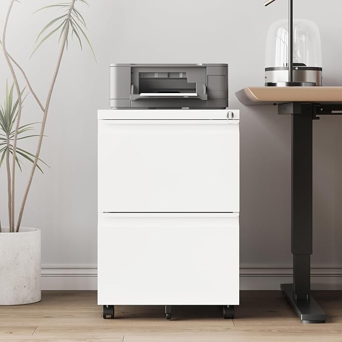 RAVIGIN 2 Drawer File Cabinet，Mobile Filing Cabinet with Lock and Wheels，Fully Assembled Metal Under Desk File Cabinets for A4/Letter/Legal Size（White