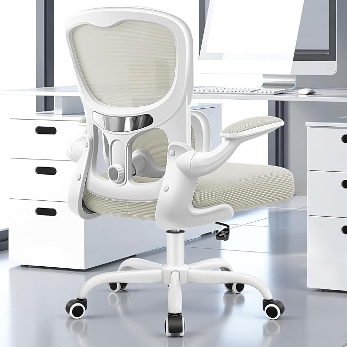 ALLGOD Ergonomic Office Chair, Breathable Mesh Ergonomic Desk Chair with Adjustable Lumbar Support, Flip-up Armrests, Computer Chairs Comfortable for Home, Office, Work, 300lbs, White, Upgrade