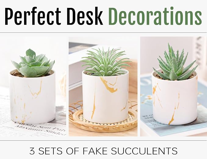Der Rose 3 Pack Small Fake Plants Succulents Plants Artificial in Pots for Home Office Desk Decor for Women