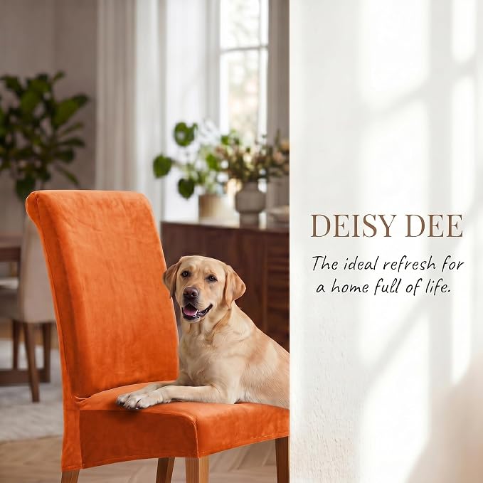 Deisy Dee Stretch XL/Oversized Extra Large Velvet Dining Room Chair Covers for Kitchen Dining，Removable Washable Chair Protectors Slipcovers (Orange, 2)