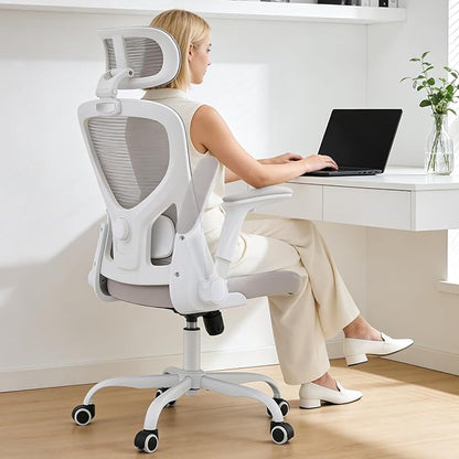 Office Chair,Ergonomic Office Desk Chair with 2D Adjustable Lumbar Support,3D Headrest,2D Arms,330LBS High Back Mesh Computer Home Office Chairs Rolling Tilting Swivel Executive Chairs Grey
