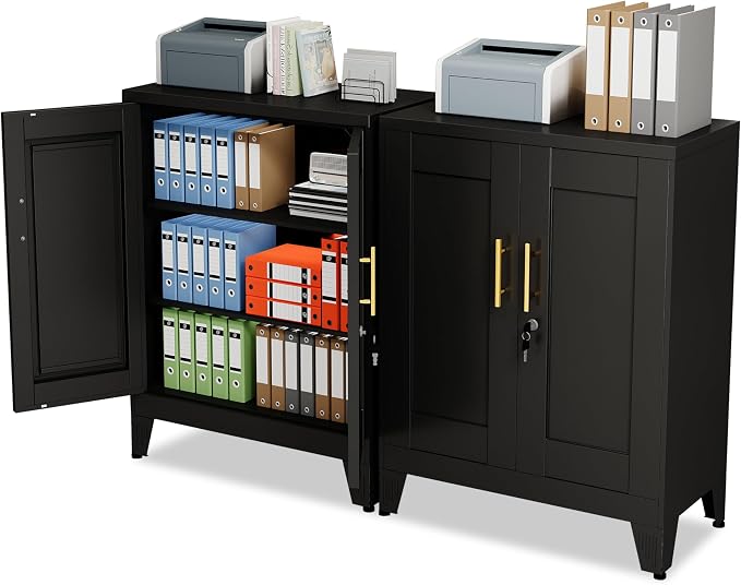 GAIOUS Black Metal File Cabinet with Lock(Two Units), Steel Storage Cabient | with 2 Doors and 2 Adjustable Shelves, Multifunctional Locked Cabinet for Home/Office/Garage/Tool Room, Accent Furniture