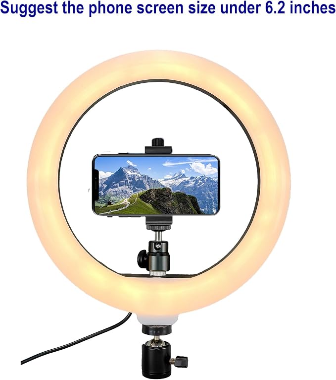 Webcam Light, Ring Light for Logitech Webcam C920,C922x,C930e,Brio 4K,C925e,MX Brio 4K,StreamCam,Brio 500,C615 1/4'' Screw Hole- 10'' Light (Without Tripod and Stand)