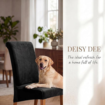 Deisy Dee Stretch XL/Oversized Extra Large Velvet Dining Room Chair Covers for Kitchen Dining，Removable Washable Chair Protectors Slipcovers (Black, 2)