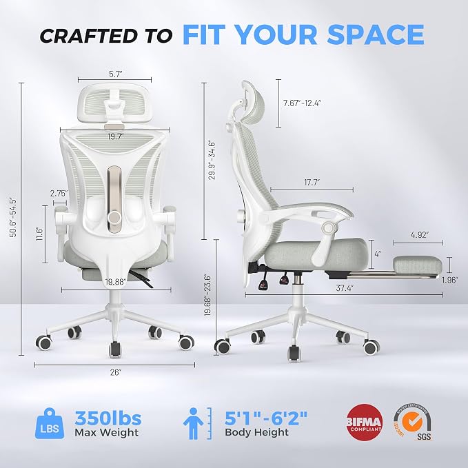 Ergonomic Office Chair - Adjustable Lumbar & Headrest, 90-160° Reclining with Footrest, Breathable Mesh Back - Home Office/Gaming Computer Chair (Modern, Light Grey)