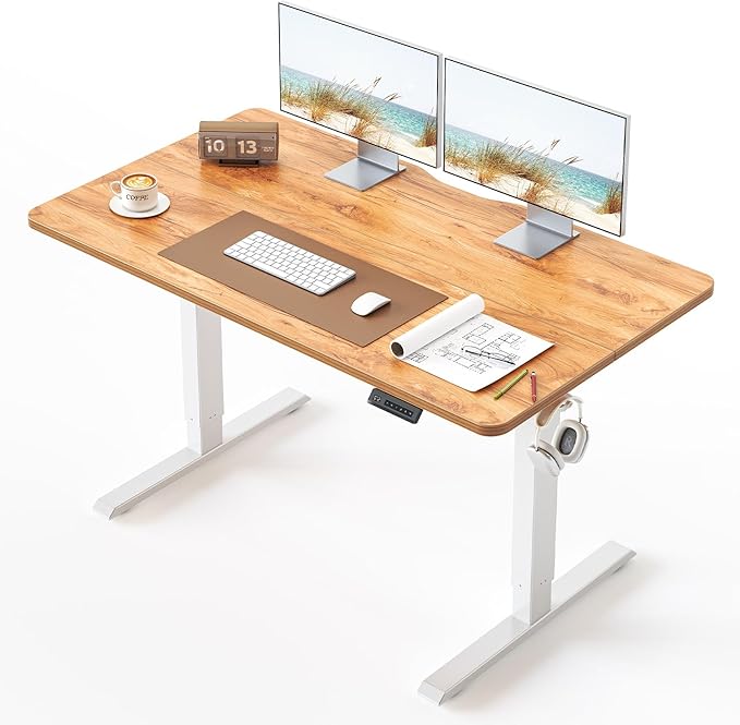BANTI 48 × 24 Inches Standing Desk, Ergonomic, Electric Height Adjustable, Sit and Stand Up, Computer Office Desk with Splice Board, White Frame/Light Rustic Top