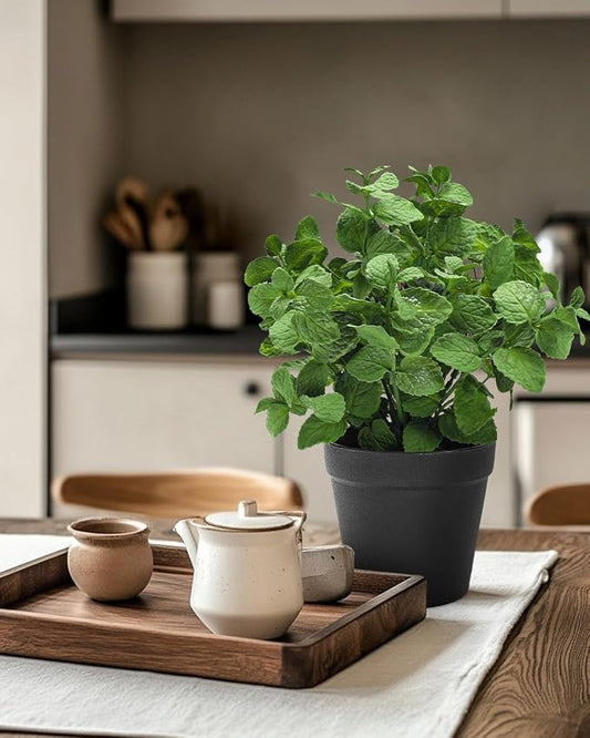 Coferset Small Fake Plants Mint Artificial Potted Plants for Home Office Bathroom Shelf Farmhouse Coffee Table Decor (Green)