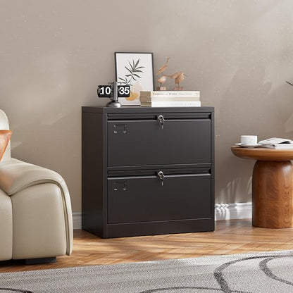 METAN 2 Drawer Lateral File Cabinet with Lock, Black Metal Lateral Filing Cabinet for Home Office, Steel Wide Filing Cabinet Legal/Letter/A4, Assembly Required, 28.82" W x 15.75" D x 30.24" H
