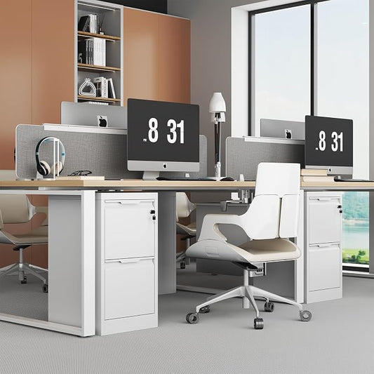 2 Drawer File Cabinet with Lock, Heavy Duty Steel Under Desk Vertical Filing Cabinet for Home Office Use, Printer Stand with Drawers, for A4/Letter-Size Files, Easy to Assemble, White