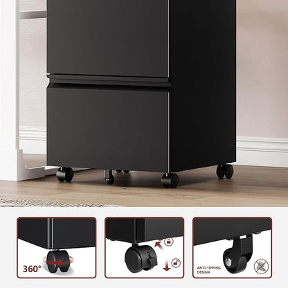 RAVIGIN 2 Drawer File Cabinet，Mobile Filing Cabinet with Lock and Wheels，Fully Assembled Metal Under Desk File Cabinets for A4/Letter/Legal Size（Black