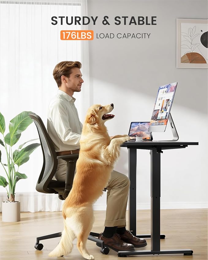 ErGear Low Height Adjustable Desk, Lifts 18.9-28.4 Inches, 40 X 24 Inches Electric Standing Desk for Kids, 4 Height Memory Settings & Storage Hooks, Home Office Computer Table & Study Desk, Black