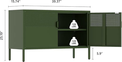 Metal Storage Cabinet,2 Door TV Stand, Metal Mesh Accent Cabinet,Magnetic Door Closure,Low Storage Cabinets with Doors and Shelves