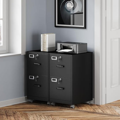BYNSOE 2 Drawers File Cabinet with Lock Metal Vertical File Cabient with Wheels Mobile File Cabinet for Office Home Legal/Letter/a4 Size Require Assembly