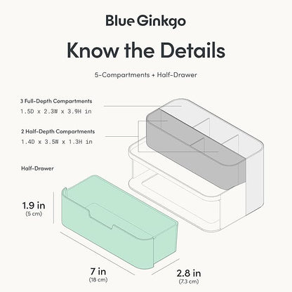 BLUE GINKGO Compact Desk Organizer – Small 5-Compartment, Half Drawer Storage – Pen Holder, Stationery Organizer for Desktop, Vanity, Shelf (Made in Korea, Blue)