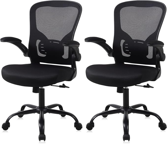 Flysky Mesh Office Chair, Ergonomic Computer Desk Chairs for Home Office - with Comfy/Comfortable Flip-up Arm Rests, Lumbar Support, Height Adjustable, 360 Degree Rolling Swivel (Black, 2 Pack)