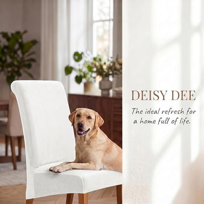 Deisy Dee Stretch XL/Oversized Extra Large Velvet Dining Room Chair Covers for Kitchen Dining，Removable Washable Chair Protectors Slipcovers (Off White, 4)
