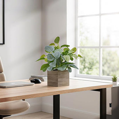 2 Pack 12" Medium Eucalyptus Fake Plants, Artificial Plants Indoor with 4 Inch Wooden Planters, Faux Potted Silk Plants for Home Decor, Desk, Shelves, Desktop, Coffee Table, Bedroom