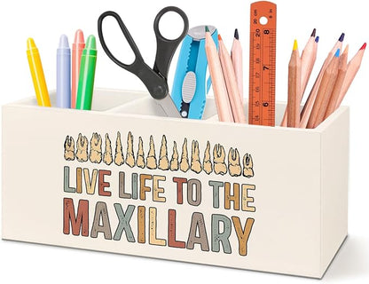 Funny Dentist Teeth Anatomy Office Pen Pencil Holder for Desk Accessories Decor, Dental Hygienist Assistant Gifts, Live Life to the Maxillary Makeup Brush Toothbrush Holder Organizer