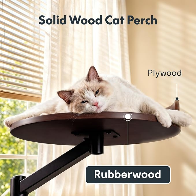 FLEXISPOT EN2 55" x 28" Standing Desk with Solid Wood Cat Bed Bundle, 1" Thick Desktop, Desk-Mounted Cat Perch with Scratcher, Black
