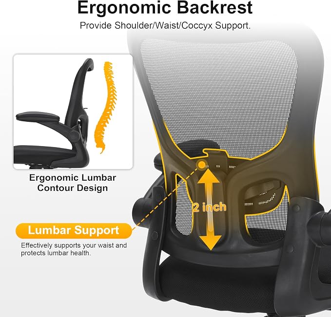 Ergonomic Mesh Office Chair with Adjustable Lumbar Support, Flip-Up Arms & Rolling Swivel Base, Breathable Computer Desk Chair for Home Office, Study & Remote Work, Black