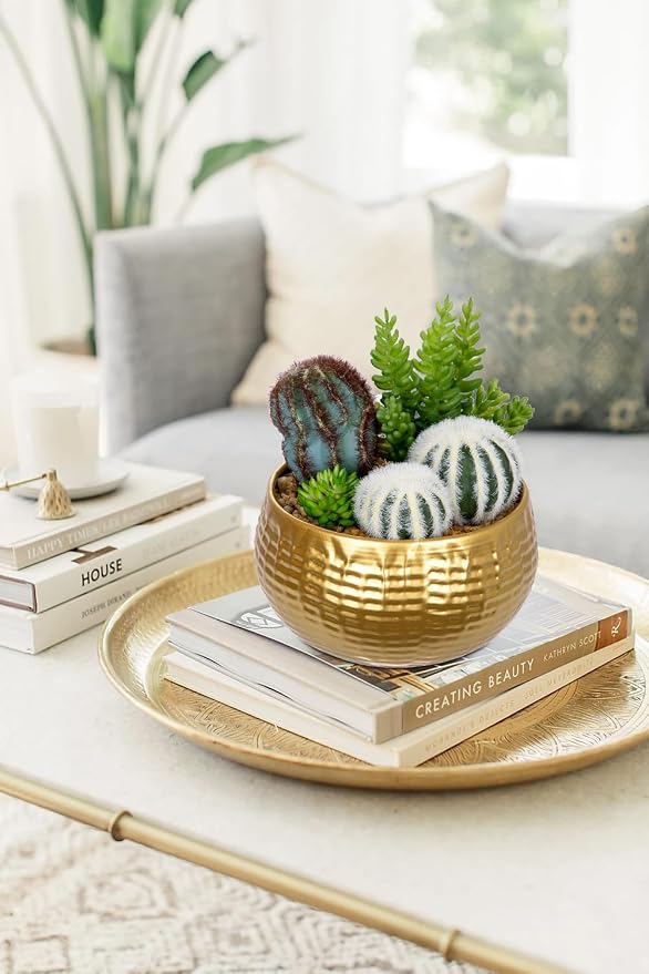Oairse Artificial Cactus Plants Indoor, 7" Assorted Small Faux Succulent in Pots Fake Potted Desk Plant with Gold Bowl Mini Succulents Artificial Cactus Decor for Home Office Bathroom Table Shelf