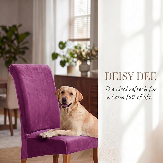 Deisy Dee Stretch XL/Oversized Extra Large Velvet Dining Room Chair Covers for Kitchen Dining，Removable Washable Chair Protectors Slipcovers (Purple, 4)