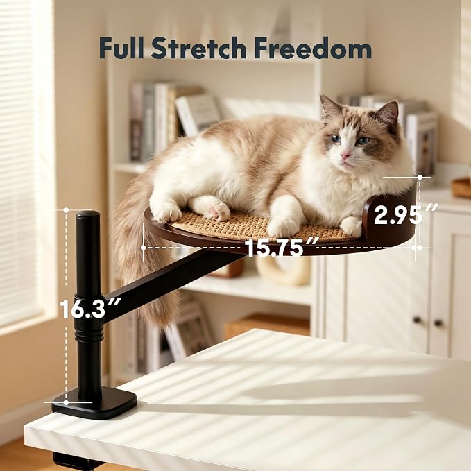 FLEXISPOT EN2 55" x 28" Standing Desk with Solid Wood Cat Bed Bundle, 1" Thick Desktop, Desk-Mounted Cat Perch with Scratcher, Black