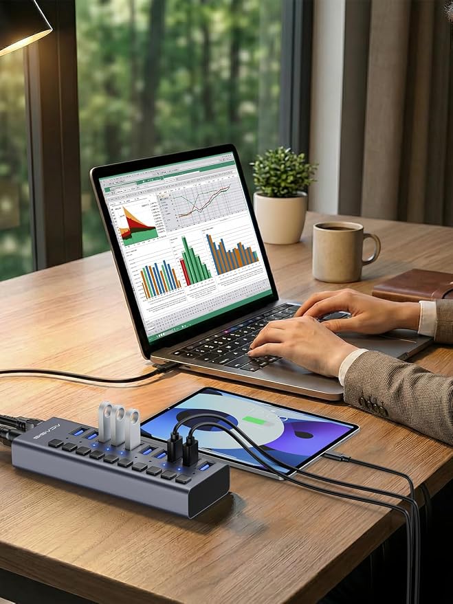 Powered USB 3.2 Hub, ACASIS 10 Ports USB 3.2 Hub with 10Gbps Data Speed, Aluminum Housing, USB Hub Powered with 48W Power Adapter, USB Hub for PC/Laptop, Computer, Flash Drive, Printer, Camera