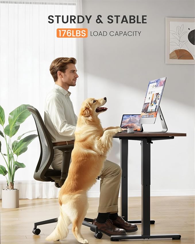 ErGear Low Height Adjustable Desk, Lifts 18.9-28.4 Inches, 35 X 20 Inches Electric Standing Desk for Kids, 4 Height Memory Settings & Storage Hooks, Home Office Computer Table & Study Desk, Walnut