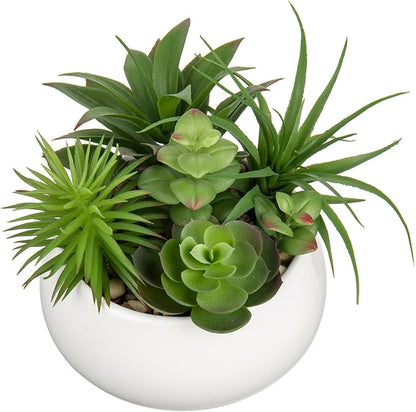 Hollyone Fake Plants Artificial Succulents in Pots Faux Succulent Arrangement Potted Plant in White Ceramic Planter Bowl for Home Decor Office Desk Bathroom Shelf Living Room Indoor Decorations