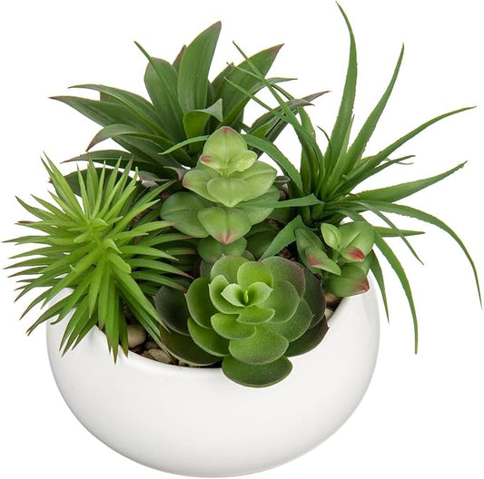Hollyone Fake Plants Artificial Succulents in Pots Faux Succulent Arrangement Potted Plant in White Ceramic Planter Bowl for Home Decor Office Desk Bathroom Shelf Living Room Indoor Decorations
