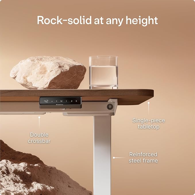 Desktronic HomeOne Standing Desk 48x24 — Ergonomic Sit Stand Home Office Desk, Made in Europe, Electric Dual Motor Height Adjustable, USB & USB-C Charging, Wobble-Free, Touchscreen, 3 Memory Presets
