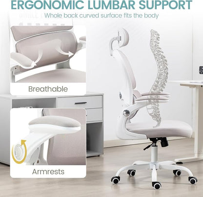 Yilaywain Ergonomic Office Chair, Home Office Desk Chair with Adjustable Headrest, High Back Computer Chair with Armrests and Lumbar Support for Home Office Study Room, Black & Gray (Grey)