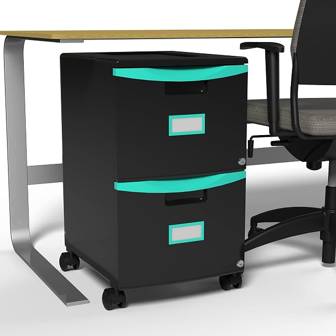 Storex Plastic Two-Drawer Mobile Pedestal File Cabinet – Locking Document Organizer with Casters for Home and Office, Black, 1-Pack (61315C01C)